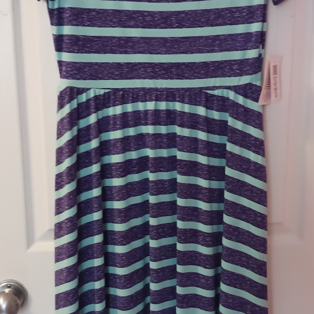 Striped Purple and Green Womens Dress